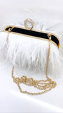 White Swan
