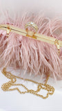 Pink Swan