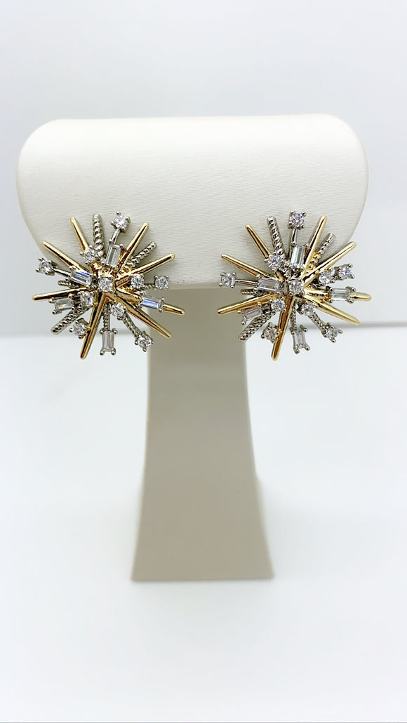 Star Of The Show Two Tone Earrings